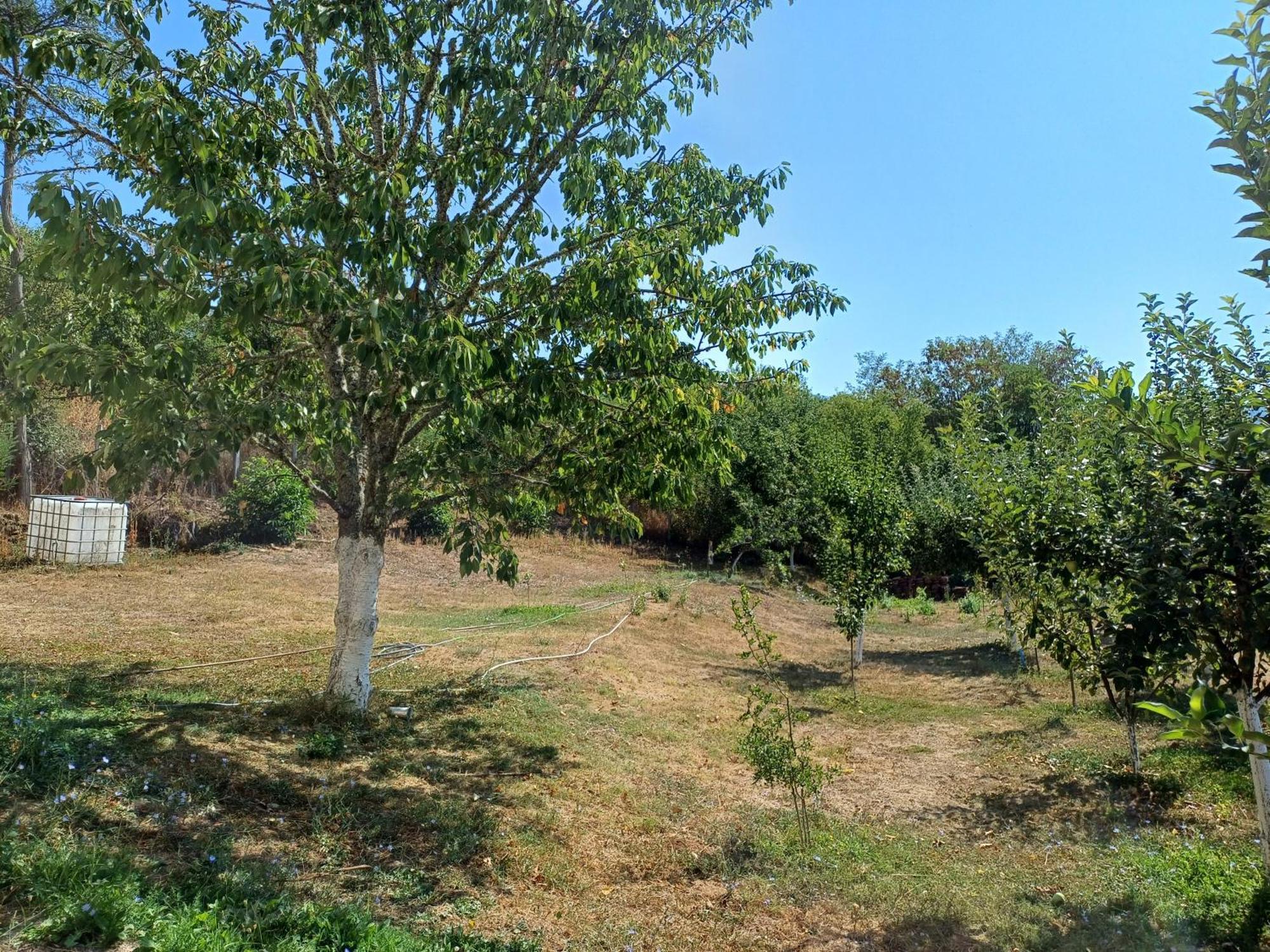 فيلا Vila Stojna Kičevo المظهر الخارجي الصورة